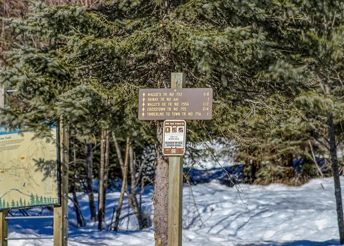 Thunderhead Lodge #301 - Meredith Lodging